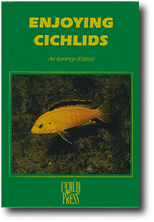 Enjoying Cichlids